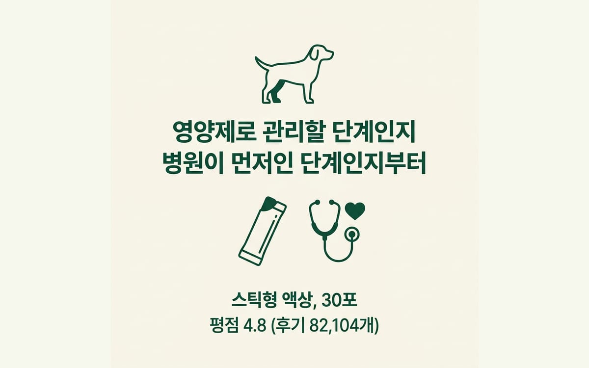 강아지 기관지 영양제, 병원 우선인지 보조인지 판단 기준